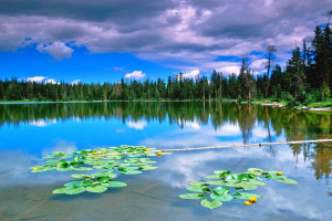 10ae5929413a7e80f8341a7cfb762843.jpg