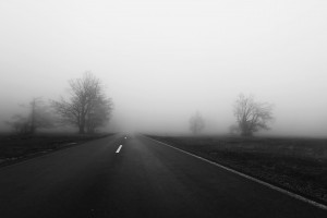 53313931483ea7022d9f6f6a96f1845c.jpg